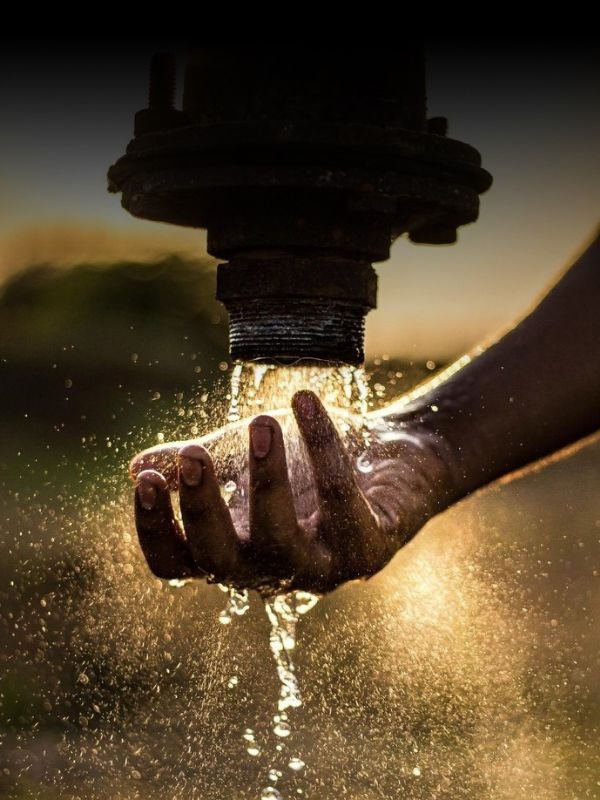 agua es vida